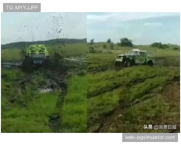 环保争议：阿尔卑斯山新越野步道建设遭环保组织起诉，运动发展与生态如何平衡？